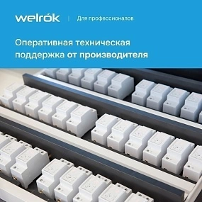 Детальное изображение товара "Реле напряжение с контролем тока Welrok VIP-40 red" из каталога оборудования для видеонаблюдения