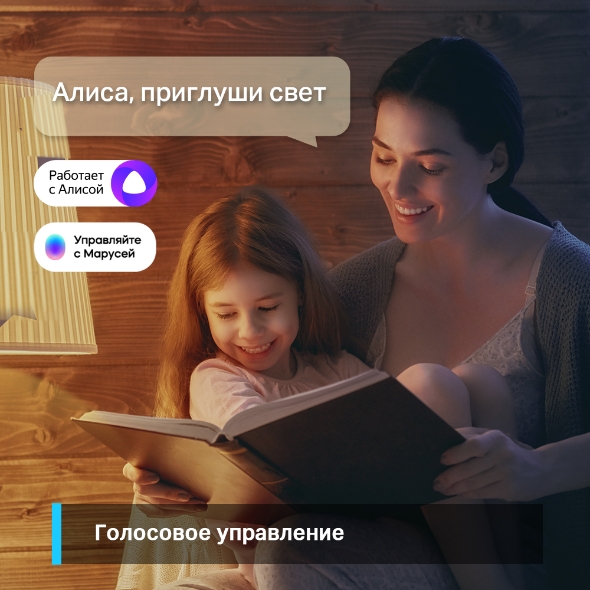 Детальное изображение товара "Умная Wi-Fi лампа TP-LINK Tapo L510E" из каталога оборудования для видеонаблюдения