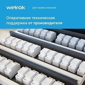 Детальное изображение товара "Реле напряжение с контролем тока Welrok VIP-50" из каталога оборудования для видеонаблюдения